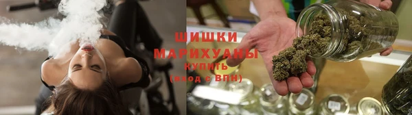 молекула духа Балахна