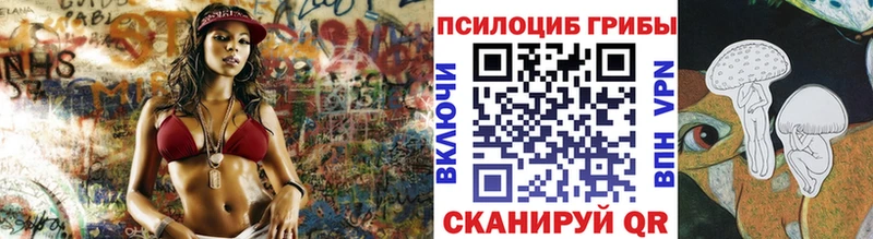 Псилоцибиновые грибы Cubensis  Щёкино 